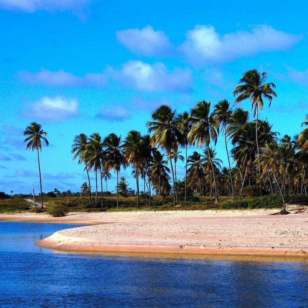 Os Melhores Réveillons do Nordeste para a virada de 2027