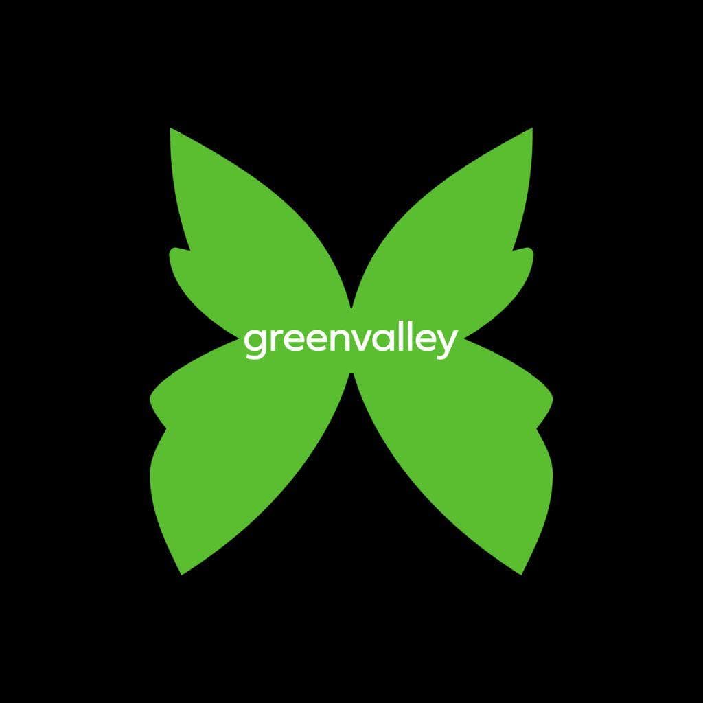 Greenvalley: O club que moldou a cena eletrônica nacional
