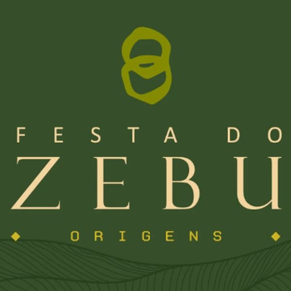 Festa do Zebu