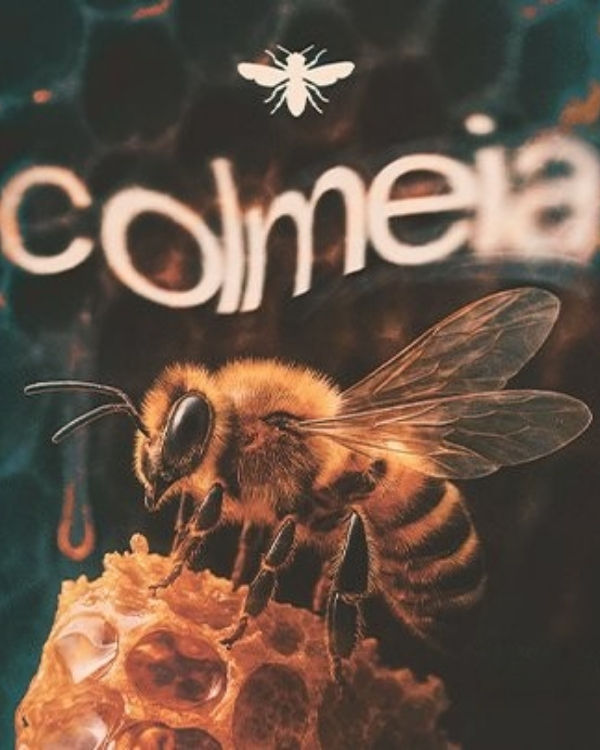 Colmeia CWB